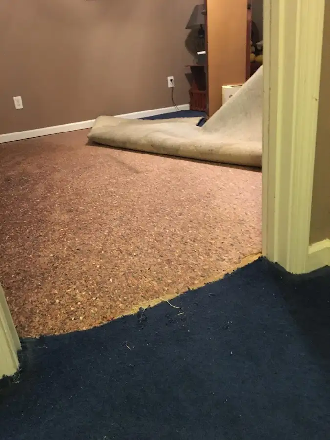 Carpet pad removal revealing water damage during Water Mitigation Services in Waldwick