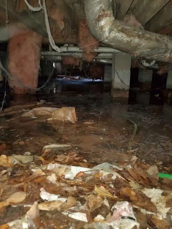 Crawl space flood assessment for Leak Detection & Repair in Waldwick